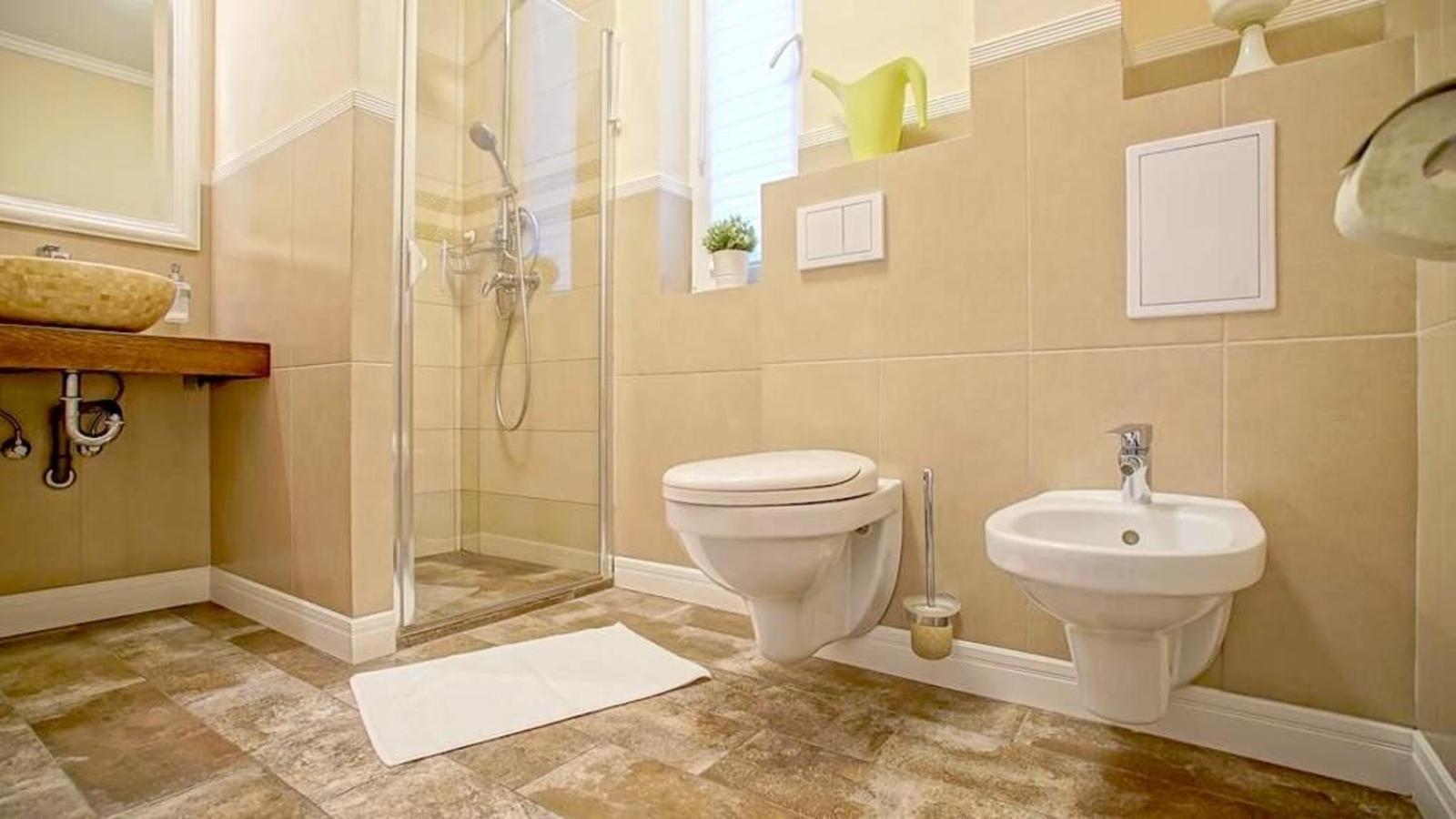 Central Maximus Apartment 브라쇼브 외부 사진